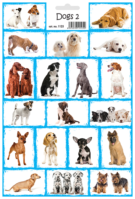 Psi 2 - Dogs 2