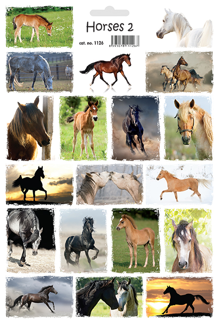 Koně 2 - Horses 2