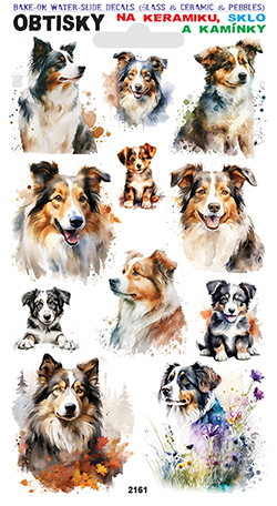 Obtisky na sklo, keramiku a kamínky - Australský ovčák