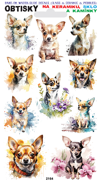 Obtisky na sklo, keramiku a kamínky - Čivava