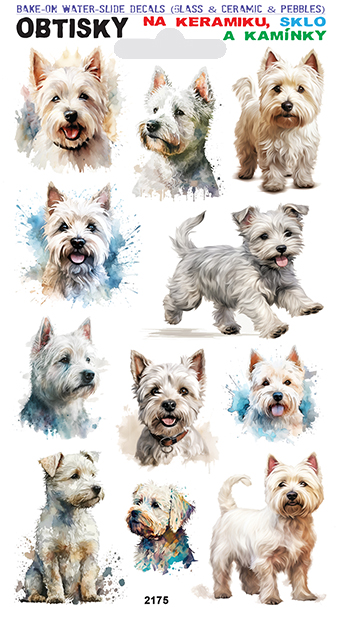 Obtisky na sklo, keramiku a kamínky - West Highland White terier
