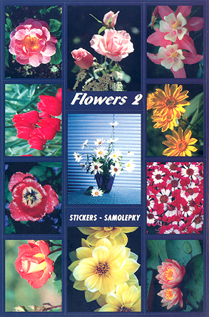 Květiny 2
