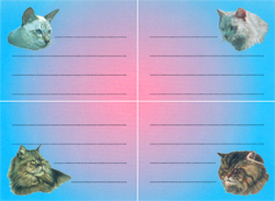 Štítky na sešity - Kočky