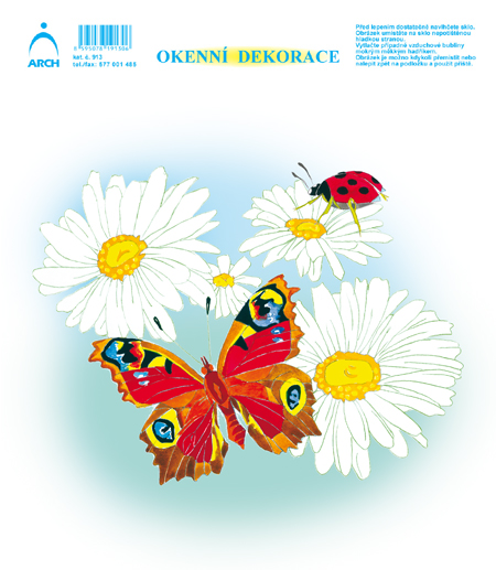 Motýl a beruška na kopretinách