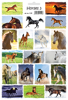 Koně 3 - Horses 3