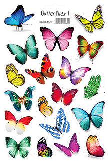 Motýli 1