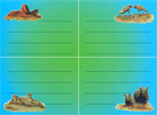 Štítky na sešity - Páry