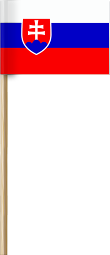 Papírové vlajky SR na 50 cm dřívku
