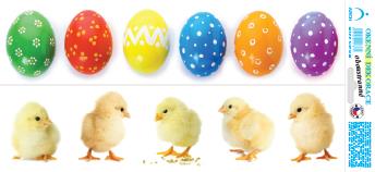 Pásy kraslice a kuřátka