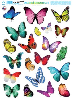 Adhezní motýli 03